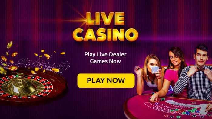 live casino 100 career